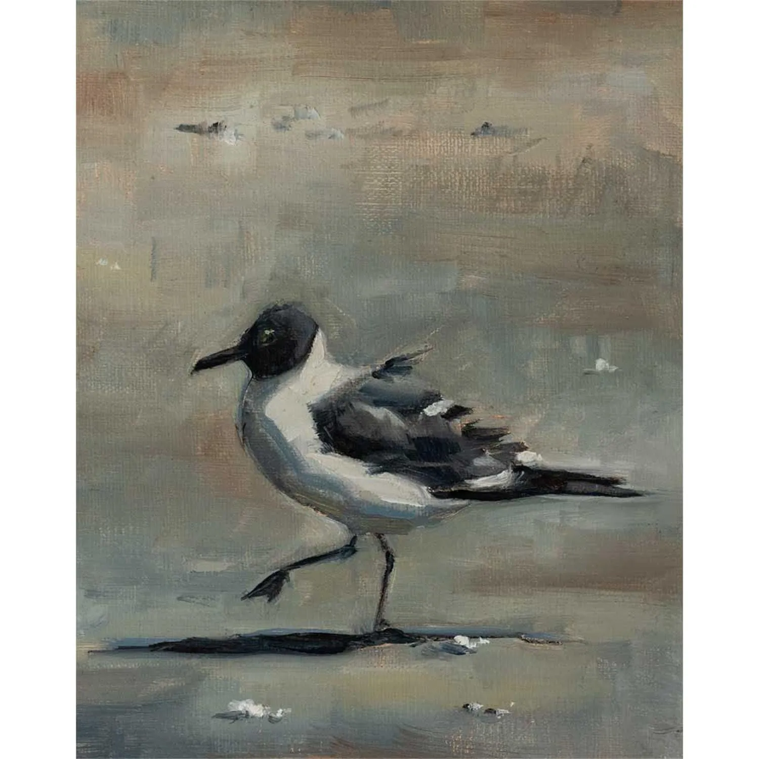 Beach Gull - II Canvas Wall Art