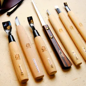 Comprehensive Spoon Carving Kit