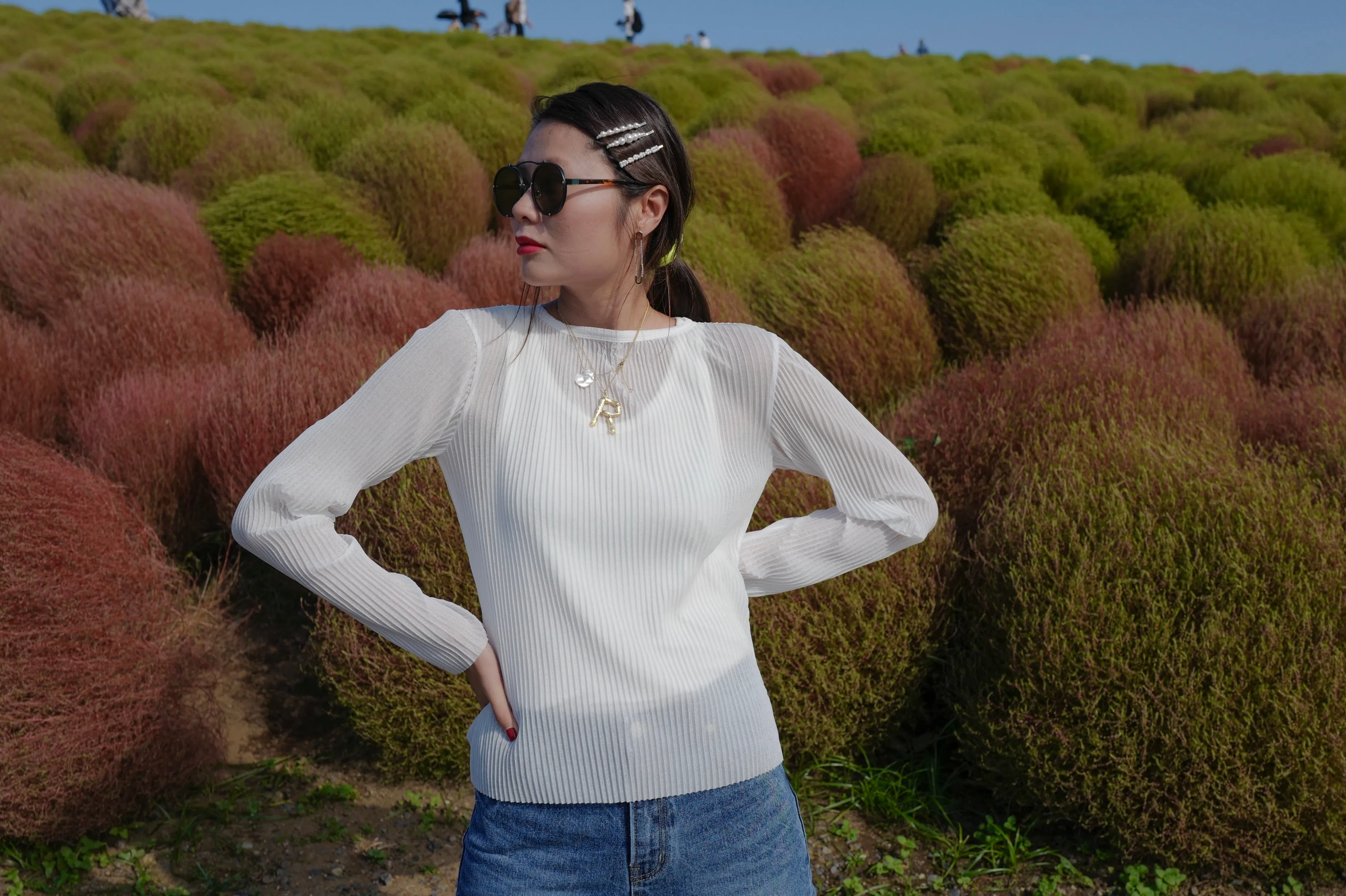 Pleated Sheer Top White/Black